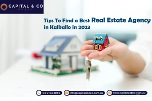 real estate agency in kalkallo
